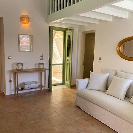 Villa Theoni Chalki Town エクステリア 写真